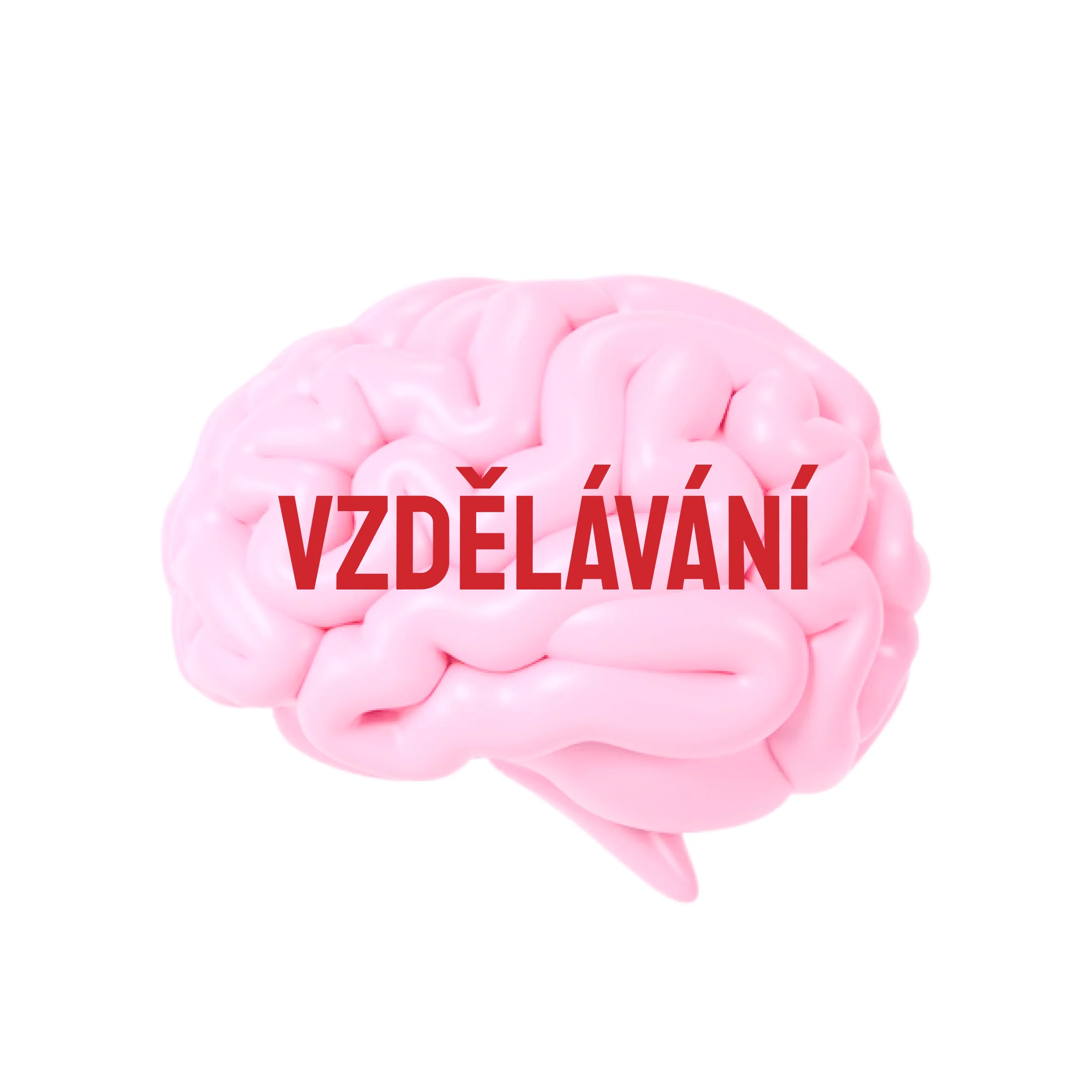 2_alfa zeny_vzdelavani